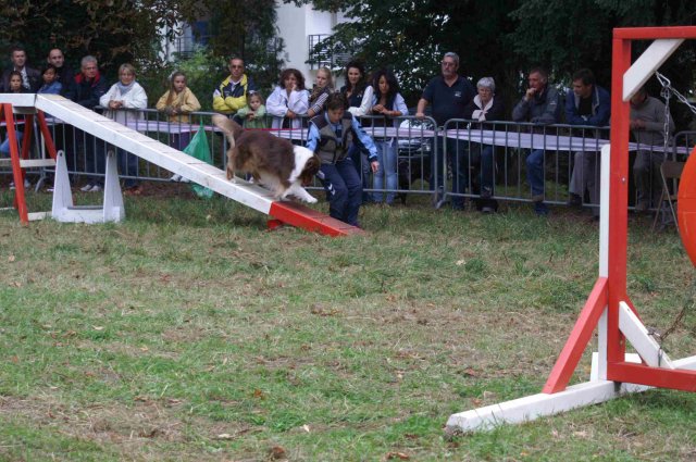 foire-haricots 2011-09-17et18